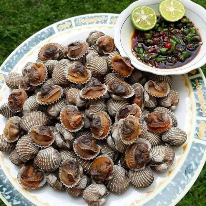 Kerang sambal kerang rebus My Kanji