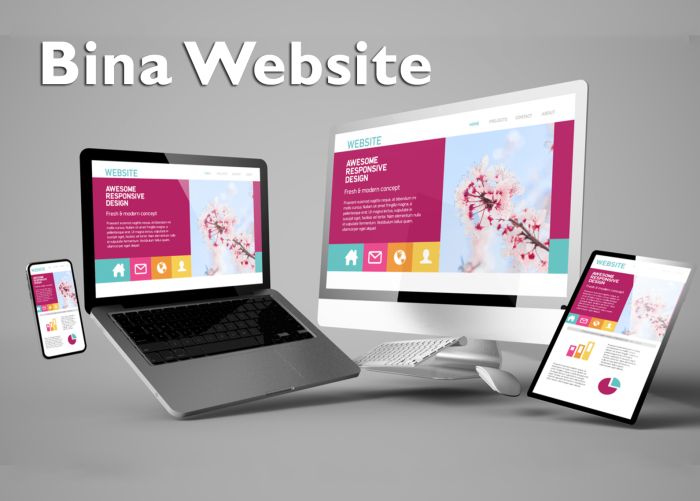 Servis bina laman web