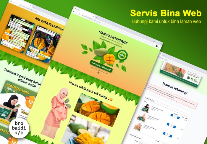 Servis bina laman web